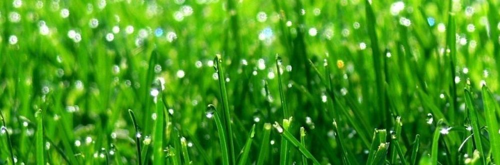 We provide the best power washing service throughout Chigwell and in your local area